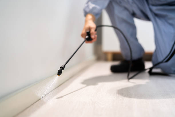 Licensed Termite Control service in Clinton, SC - Nex Pest Control