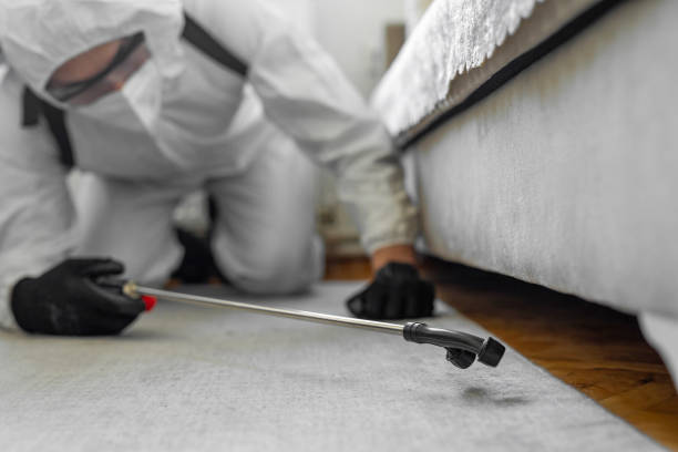 Professional Termite Control technician working in Clinton, SC