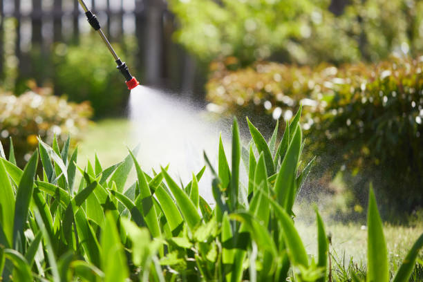 24/7 Emergency Termite Control experts in Clinton, SC