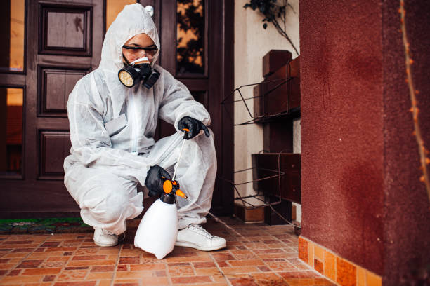 Reliable Termite Control contractor in Clinton, SC by Nex Pest Control